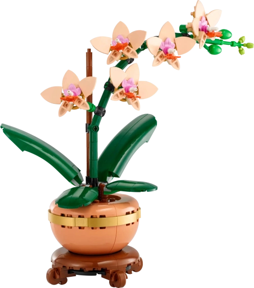 Конструктор LEGO Botanical Collection 10343 Мини орхидея