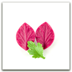 Листья хризантемы. Набор 1