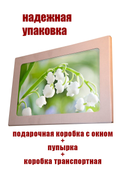 Фото картина на стекле , на стену , в подарок "Хиты цветы" 28х40 см. Декор для дома, подарок