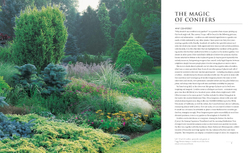 Gardening with conifers