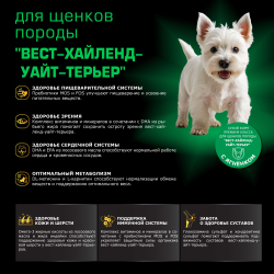 Корм сухой для щенков породы Вест-хайленд-уайт-терьер, премиум полнорационный комплекс, с ягненком, 800 гр, QUATTRO