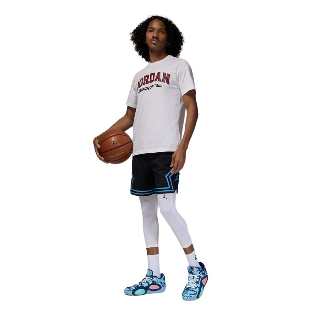 Штаны Jordan Sport Dri-FIT Pants White