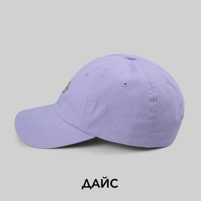 Кепка Dickies Hardwick 6 Panel Logo артикул:DK0A4TKVH181 - купить в магазине Дайс