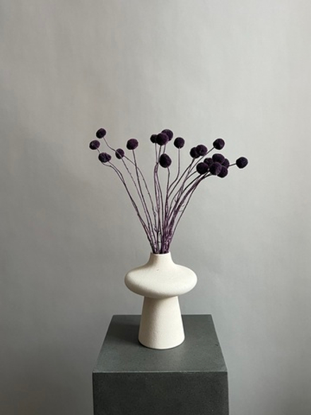 Краспедия стабилизированная сливовая (упак 20 шт)