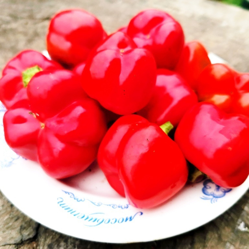 Перец для начинки Мамми Хубер -Mammi Huber's Stuffing Pepper