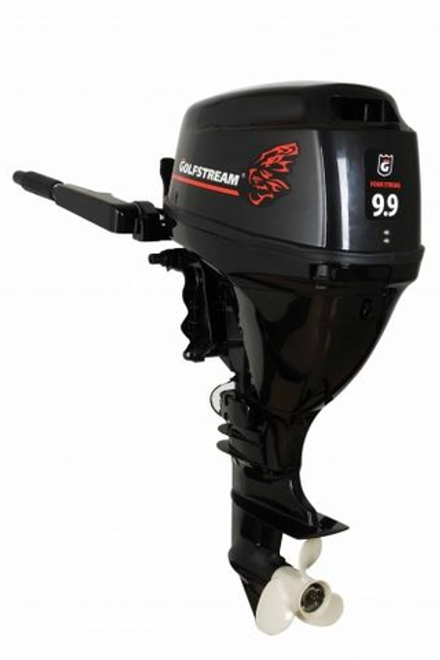 Лодочный мотор Golfstream F9.9 ABMS Enduro (карбюратор)