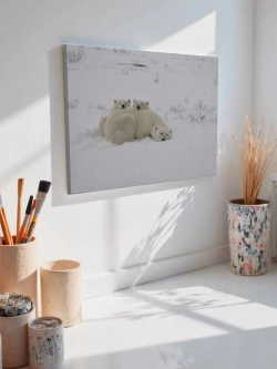 Картина на стену 40 X 50 Белые медведи