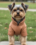 Демисезонный комбинезон для собак (мальчик)