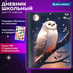Дневник 1-11 класс 48 л. кожзам (твердая с поролоном) печать наклейки BRAUBERG "Сова" (2 штуки в упаковке)