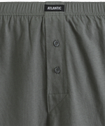 Мужские трусы боксеры Atlantic, набор из 2 шт., хлопок, баклажановые + хаки, 2MBX-054