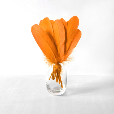 Гусиные перья оранжевые ровные 20шт.