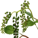 Цветок искусственный «Natur» 80см Лаконос