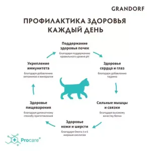 Корм для котят Grandorf kitten, ягненок с индейкой