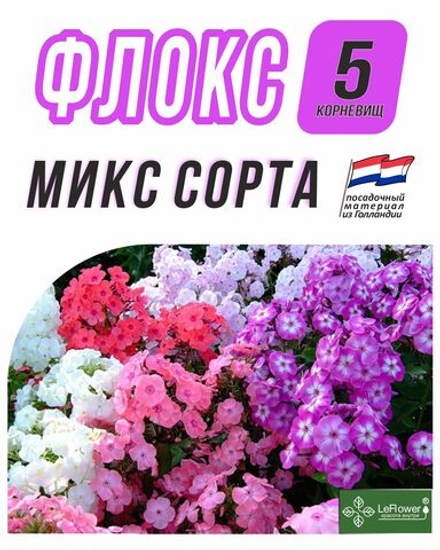 Флоксы Корневище, Микс сортов, 5шт