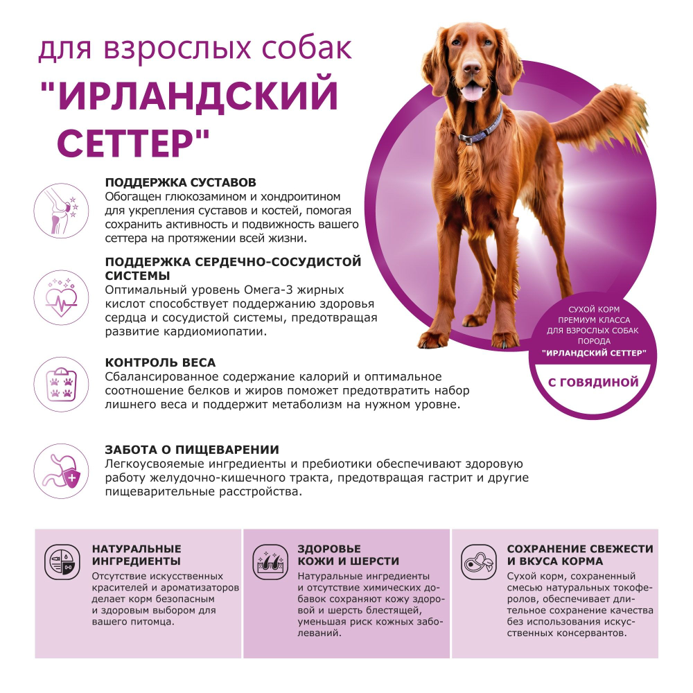 Корм сухой для взрослых собак породы Ирландский сеттер, премиум полнорационный комплекс, с говядиной, 12 кг, QUATTRO