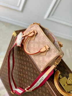 Louis Vuitton Speedy Bandouliere 20