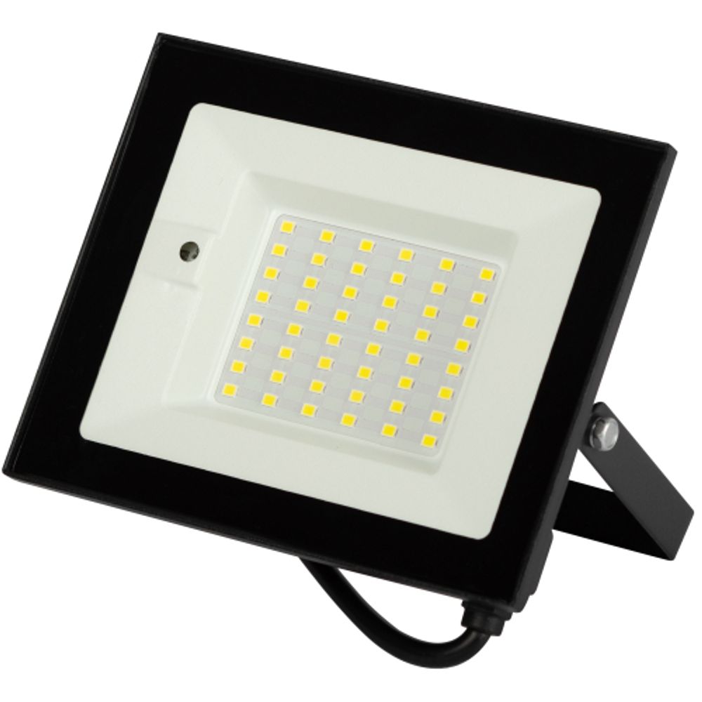 Прожектор светодиодный уличный ЭРА LPR-041-1-65K-030 30Вт 2400лм 6500K КСС Д 120° 2 года IP65 черный нерег СВЧ д/д | Прожекторы Стандарт
