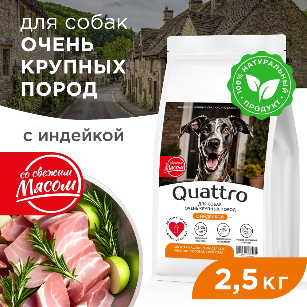 Корм сухой для взрослых собак очень крупных пород, премиум полнорационный сбалансированный, с индейкой, 2,5 кг, QUATTRO