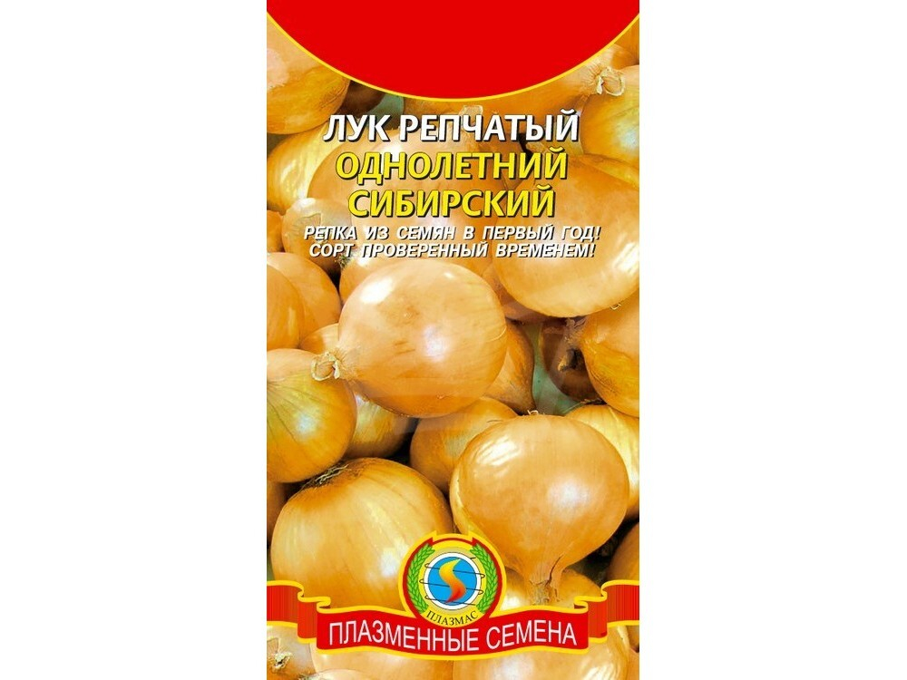 Лук (репчатый) Сибирский однолетний 1г #Плазма