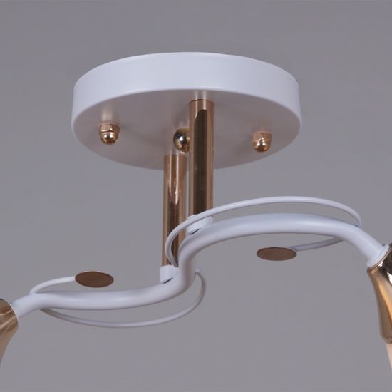 06104-0.3-02 WH+FG светильник потолочный