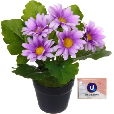 Цветочная композиция «Поцелуй лета» Хризантема сиреневая 20см