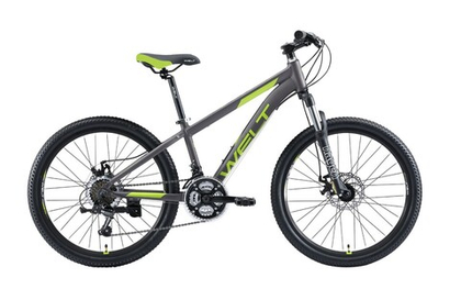 Детский велосипед Welt Peak 24 D (2020)