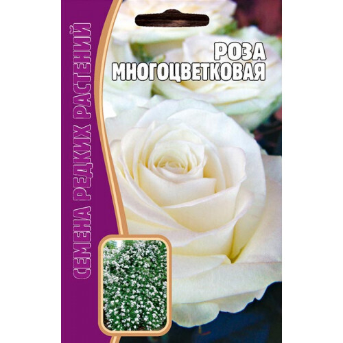 Роза многоцветковая