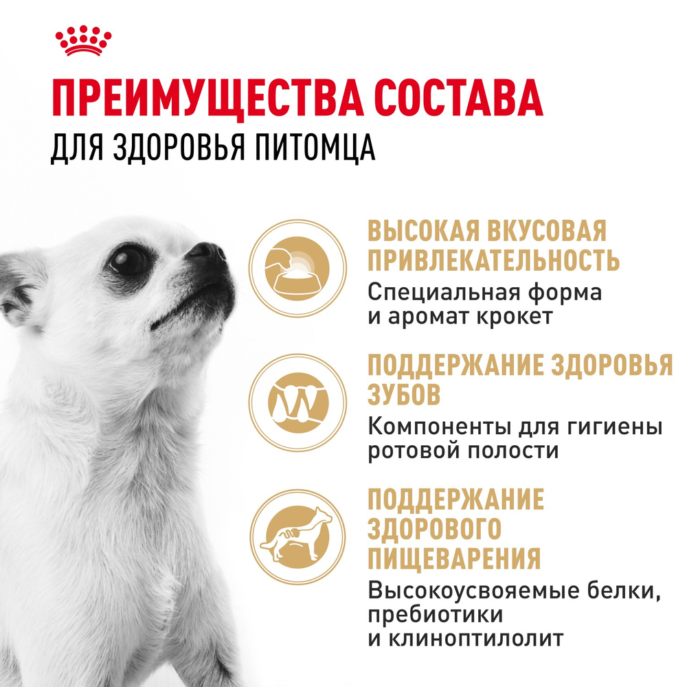 Royal Canin Chihuahua Adult Чихуахуа Эдалт Корм сухой для взрослых собак породы Чихуахуа от 8 месяцев 1,5кг
