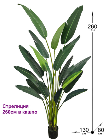 Искусственная Стрелиция Николая 260см в кашпо