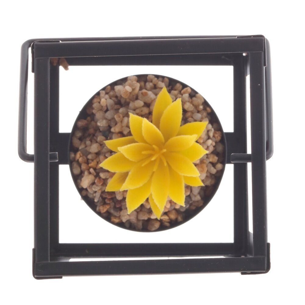 GAEM Цветочная композиция "Суккулент", L8,5 W8,5 H10,5 см