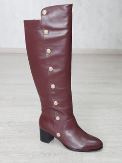 Сапоги женские демисезонные