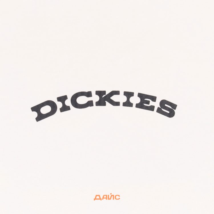 Футболка мужская Dickies Outdoor артикул:DK0A4Z8PC481 - купить в магазине Дайс