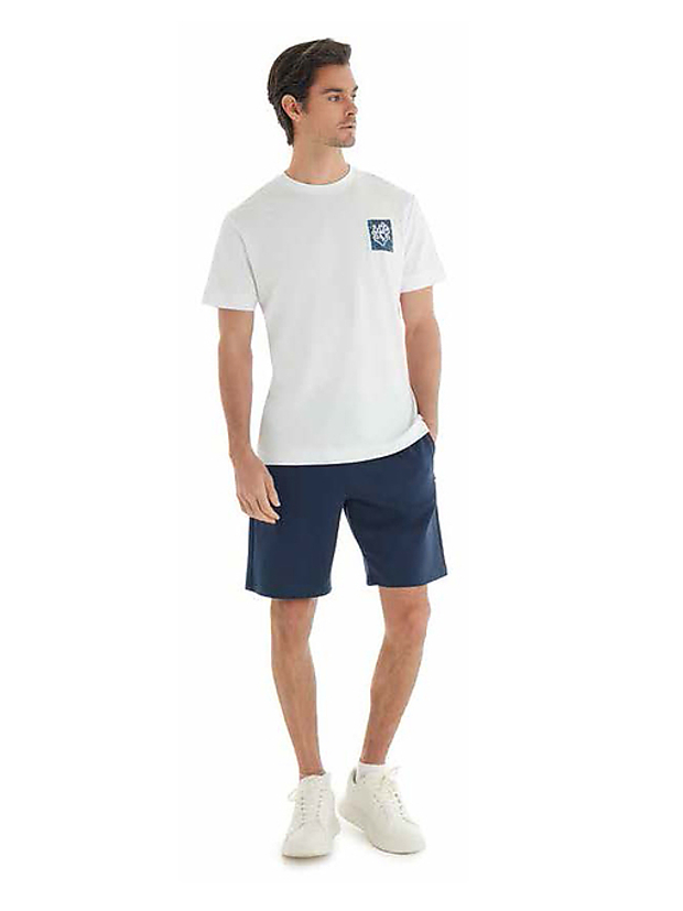 Футболка мужская Daytripper