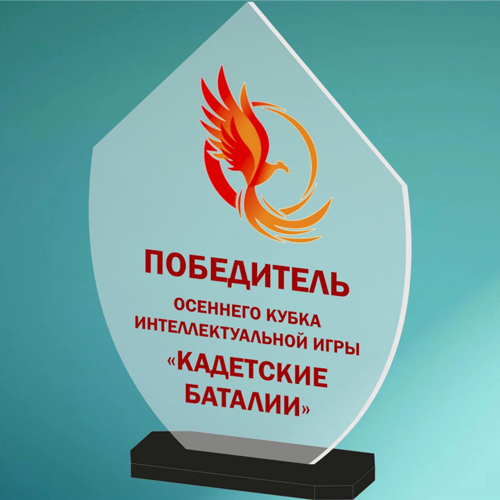 Акриловый приз 1812-000