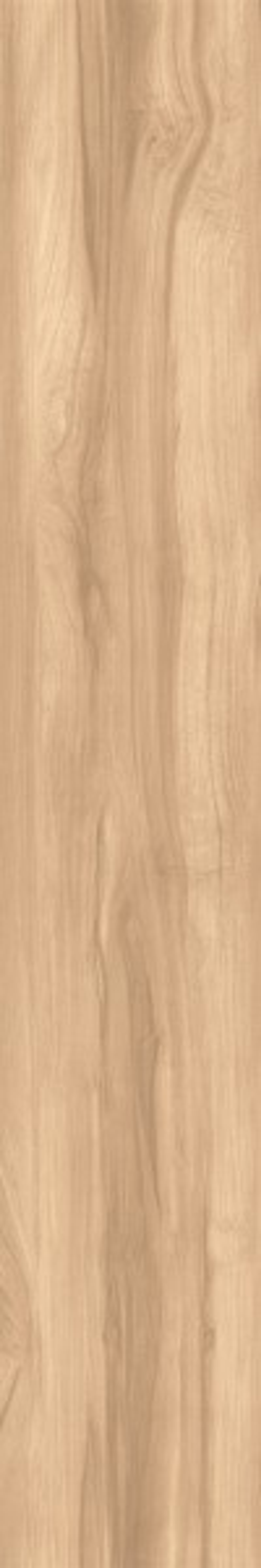 FOSSIL WOOD BRICH CW-RT09-B