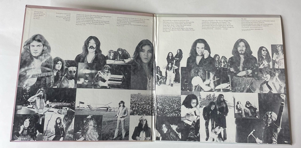 Винтажная виниловая пластинка LP Deep Purple Come Taste The Band (США 1975)