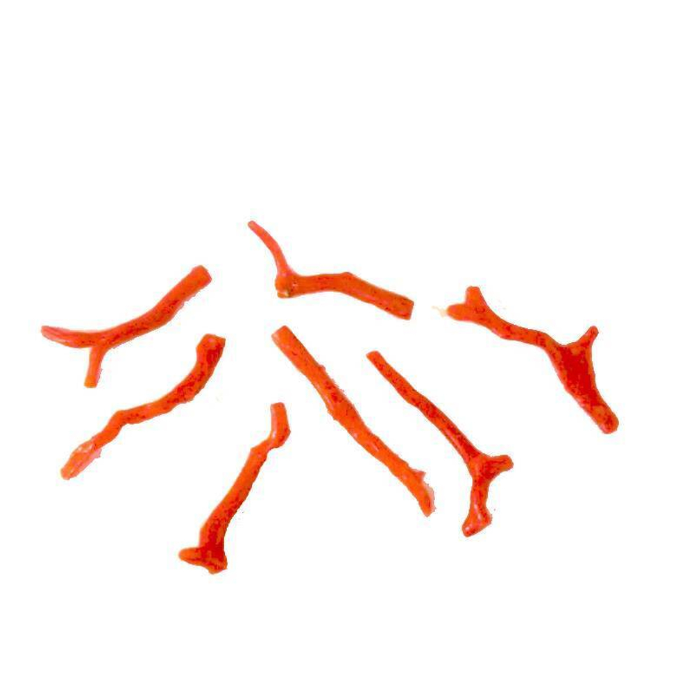 Веточка красный натуральный коралл асс.