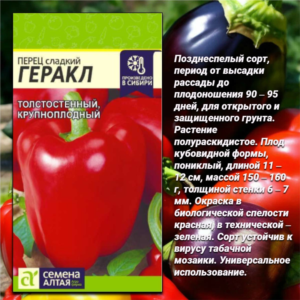 Семена баклажан и перца: лучшие сорта для выращивания в домашних условиях.