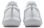 Кроссовки Nike Court Zoom Nxt Hc