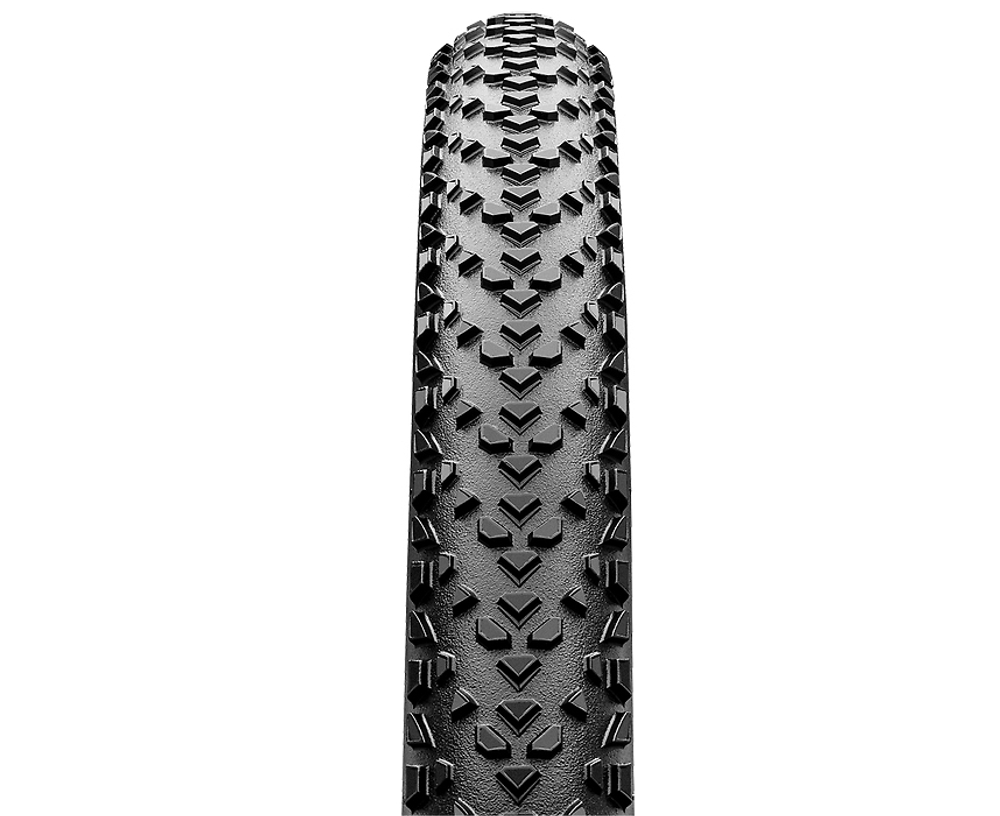 Continental race king racesport 29 shop