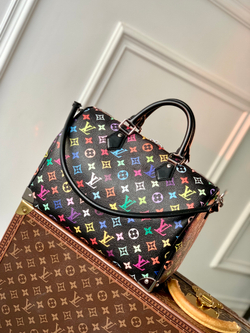 Louis Vuitton Speedy Soft 30