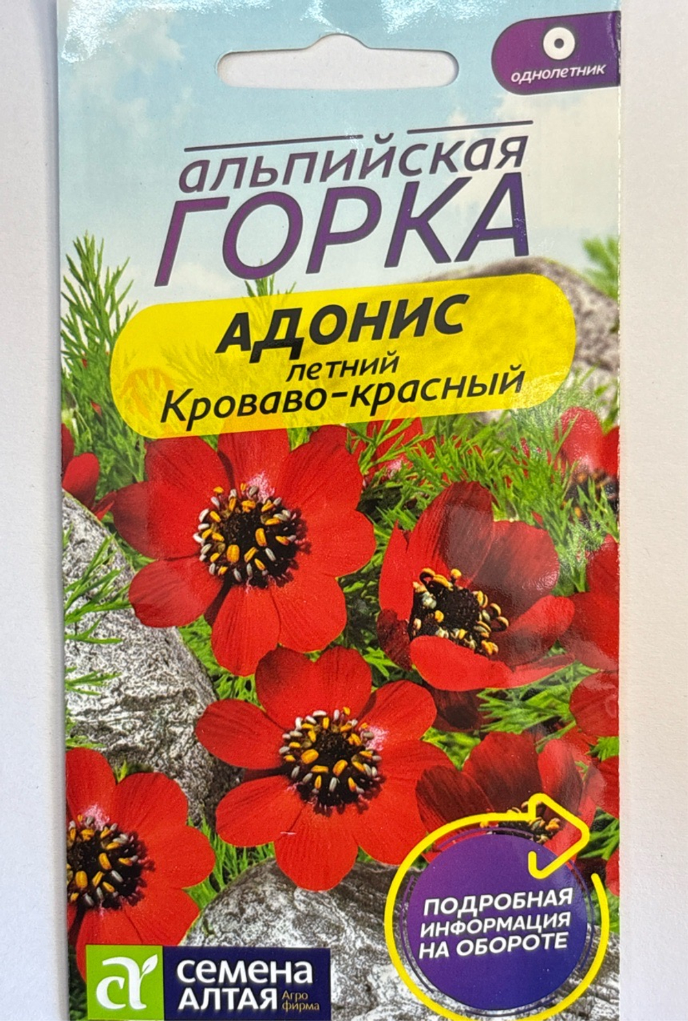 Адонис Кроваво-красный летний 0,2 г СМЦ-543