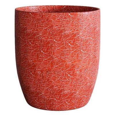 VASE3 RIBEYE