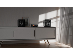 Акустическая система EverSolo SE100