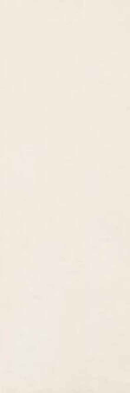 Dom Ceramiche Concretus DCU3310 Blanco 33x100