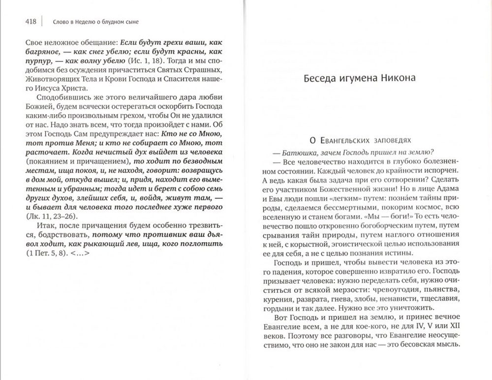 О началах жизни. Игумен Никон (Воробьев)