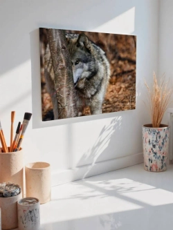 Картина на стену 40 X 50 Волк