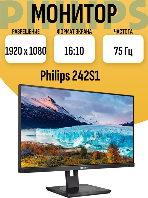 Монитор 242S1