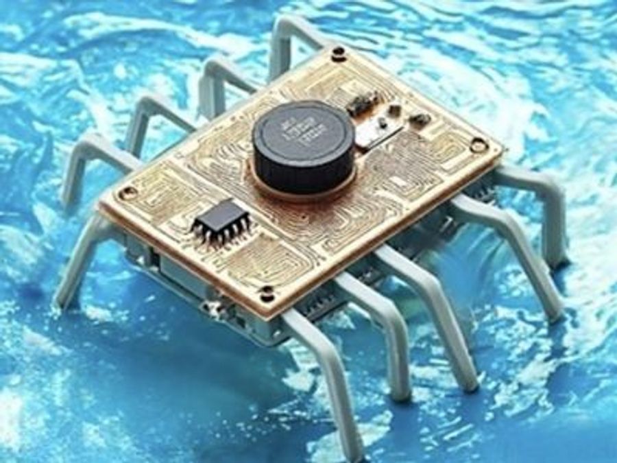 Крошечные роботы-водомерки умеют питаться бактериями