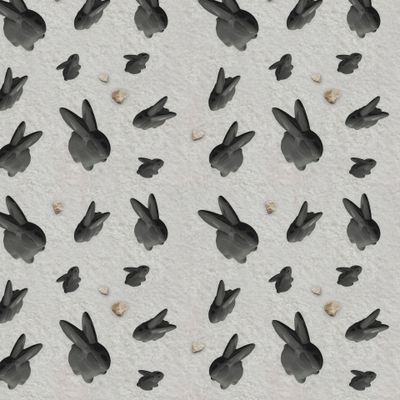 Черный зайка мелкий